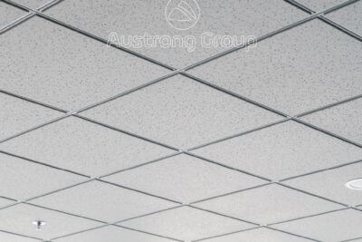 249263784 425667972498499 6430336825349052021 n